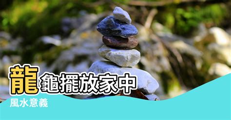 龍龜供養|風水意義 